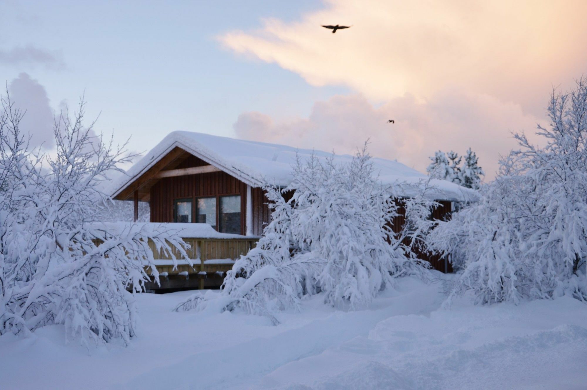 Hotel Gesthus Selfoss Extérieur photo
